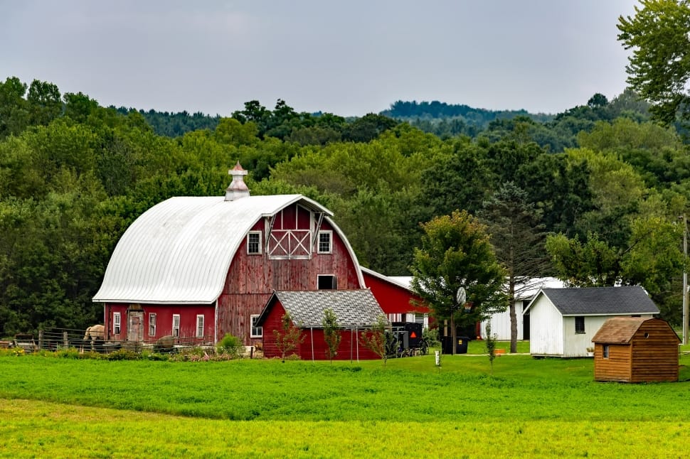 Why Are Barns Red?